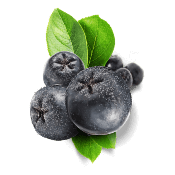 Aronia berry